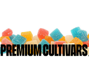 Delight Your Taste Buds with Delta 9 Gummies: Health in Candy Form!