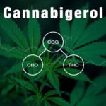 Cannabigerol (CBG): The Cannabinoid with Therapeutic Potential?