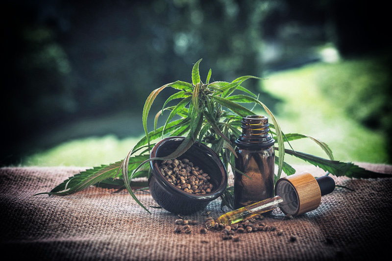 THC-Free Weed? How Today’s Marijuana Alternatives Stack Up