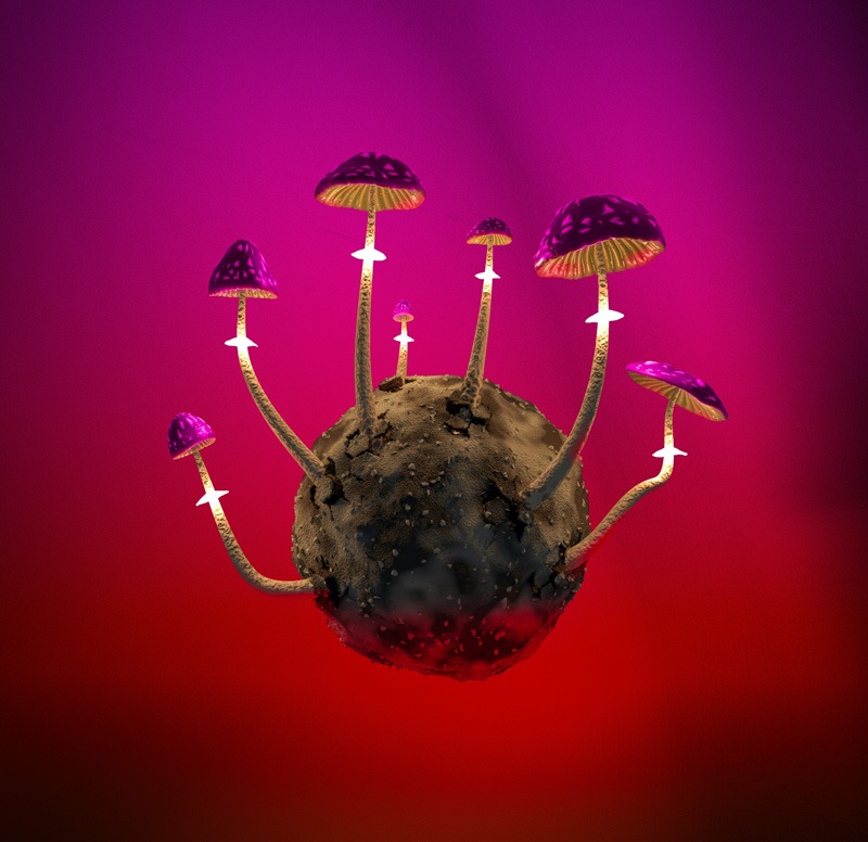 What to Expect from a Psilocybin Experience from Magic Mushrooms