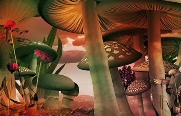 Beyond Therapy: The Spiritual and Existential Impact of Magic Mushrooms