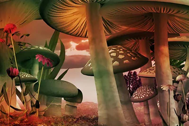 Beyond Therapy: The Spiritual and Existential Impact of Magic Mushrooms