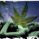 Dealing With Stress and Sleep Issues? Find Your Ideal Cannabis Strain and Dose and Feel Better