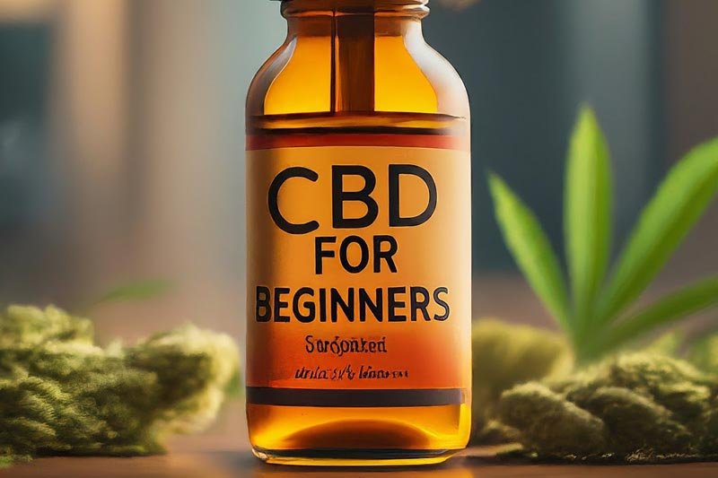 CBD for Beginners: A Comprehensive 2024 Guide to Getting Started with CBD
