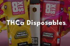 In-Depth Guide to Eighty Six's THCa Disposable Vapes