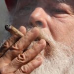 From Counterculture to Mainstream: The Evolution of Marijuana from the 60s to Today’s Medical and Recreational Boom