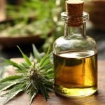 CBD vs THC: What Every Baby Boomer Needs to Know About Cannabis Compounds