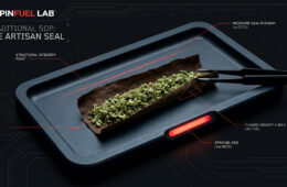 How to Roll a Perfect Blunt: Step-by-Step Guide
