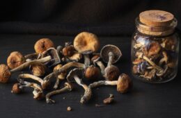 How to Store Shrooms Properly (Avoid Mold, Potency Loss, and Waste)