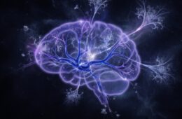 What Psilocybin Does to the Brain — the Science in Plain Language