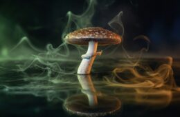  Do Shrooms Make You Sick? (Nausea Explained + Fixes)